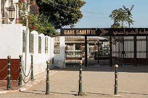 Oranie 2017-209